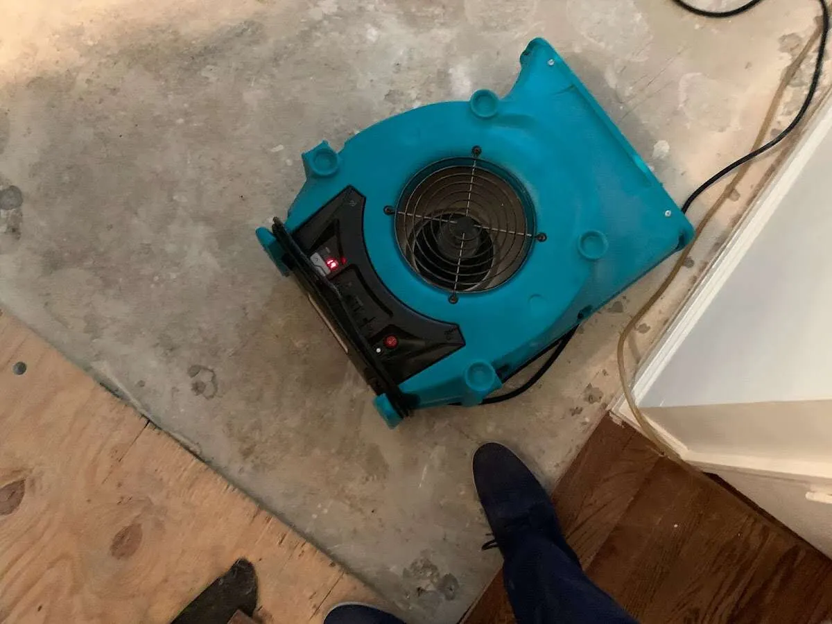 Air mover drying subfloor during Leak Detection & Repair in Jackson